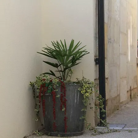 Le Clos Du Square - Climatise Ferienhaus *