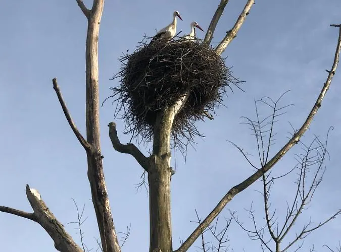 Ferienhaus Le Clos Du Square - Climatise